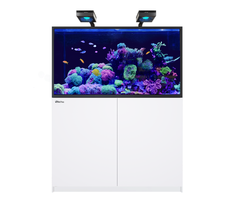 Reefer S 550 G3 - Deluxe
