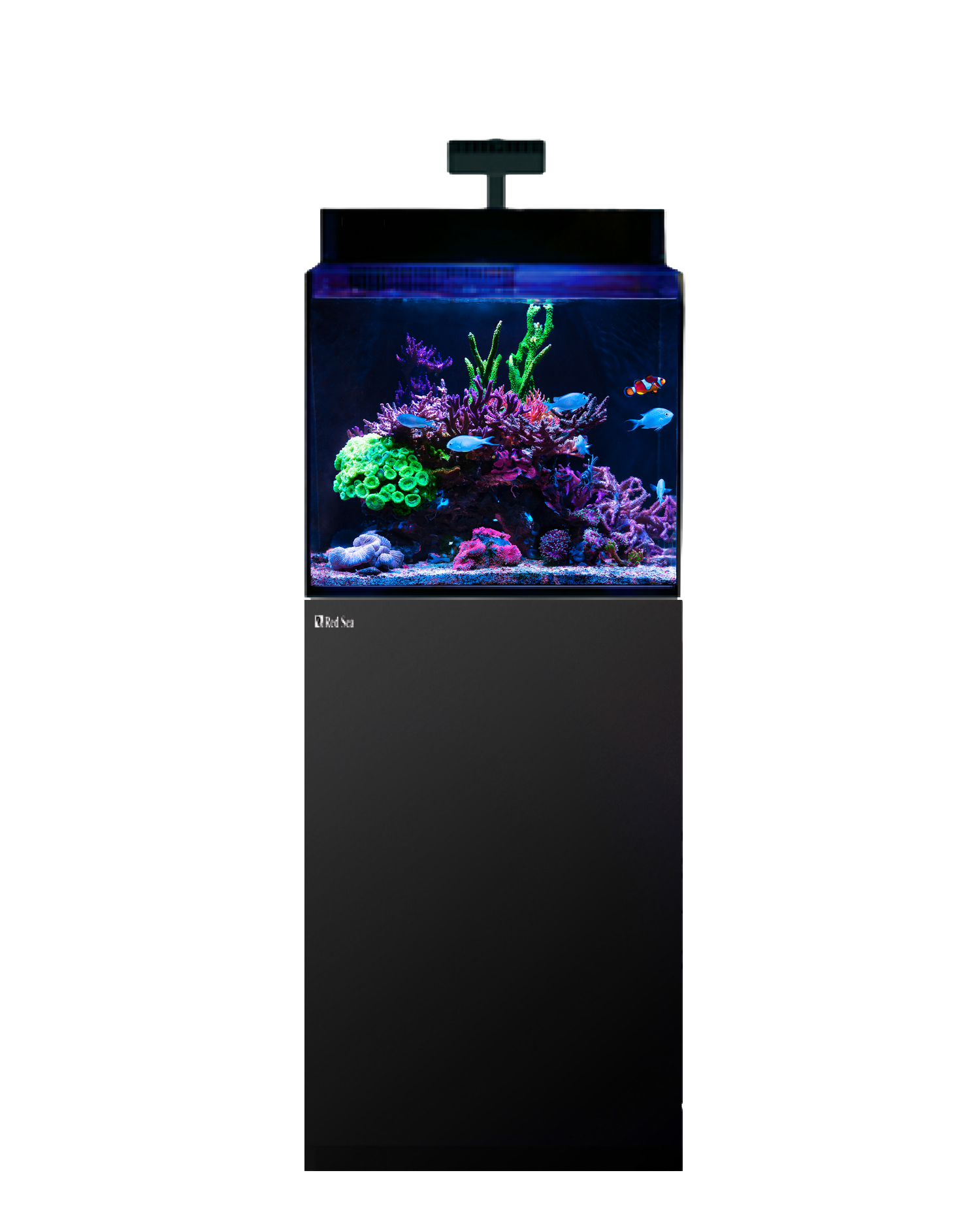 MAX® Nano XL G2