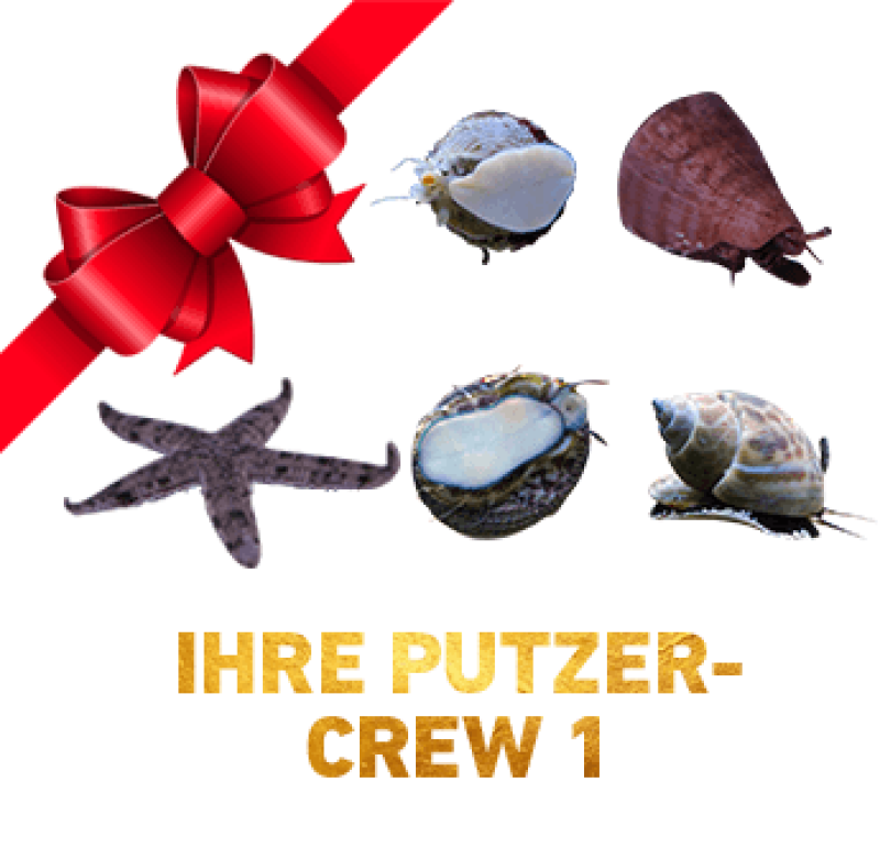 Putzercrew / Cleaning Crew / Putzertruppe - Putzercrew: Putzercrew 1