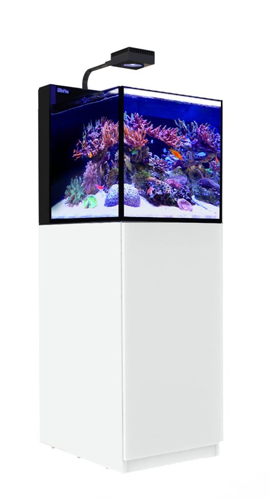 MAX® Nano Peninsula G2