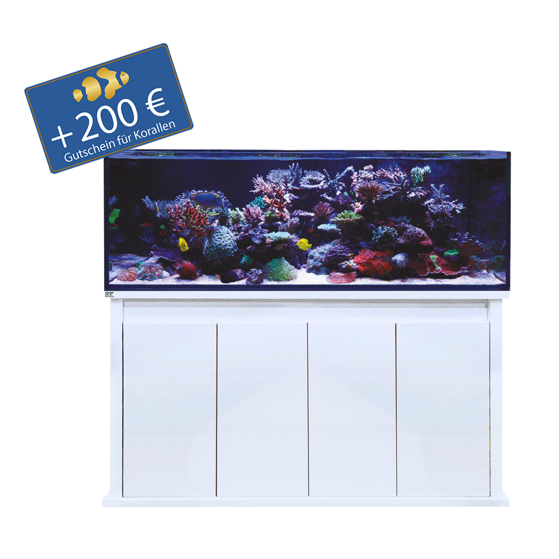 D-D Reef-Pro 1500 - Holzunterschrank
