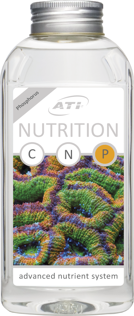 Nutrition P 10.000 ml