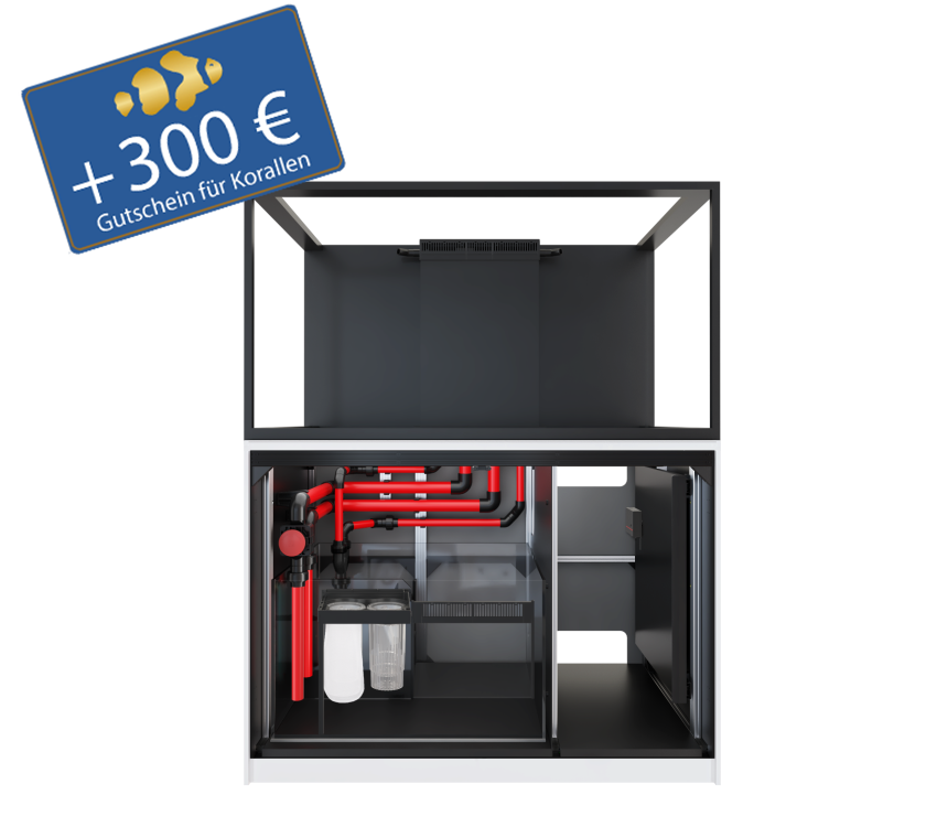 Reefer S 550 G3