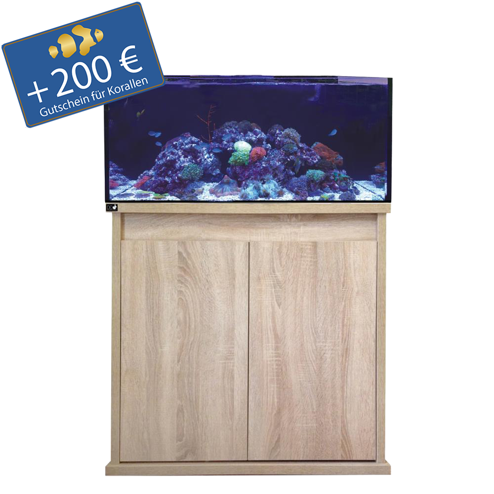 D-D Reef-Pro 900 - Holzunterschrank