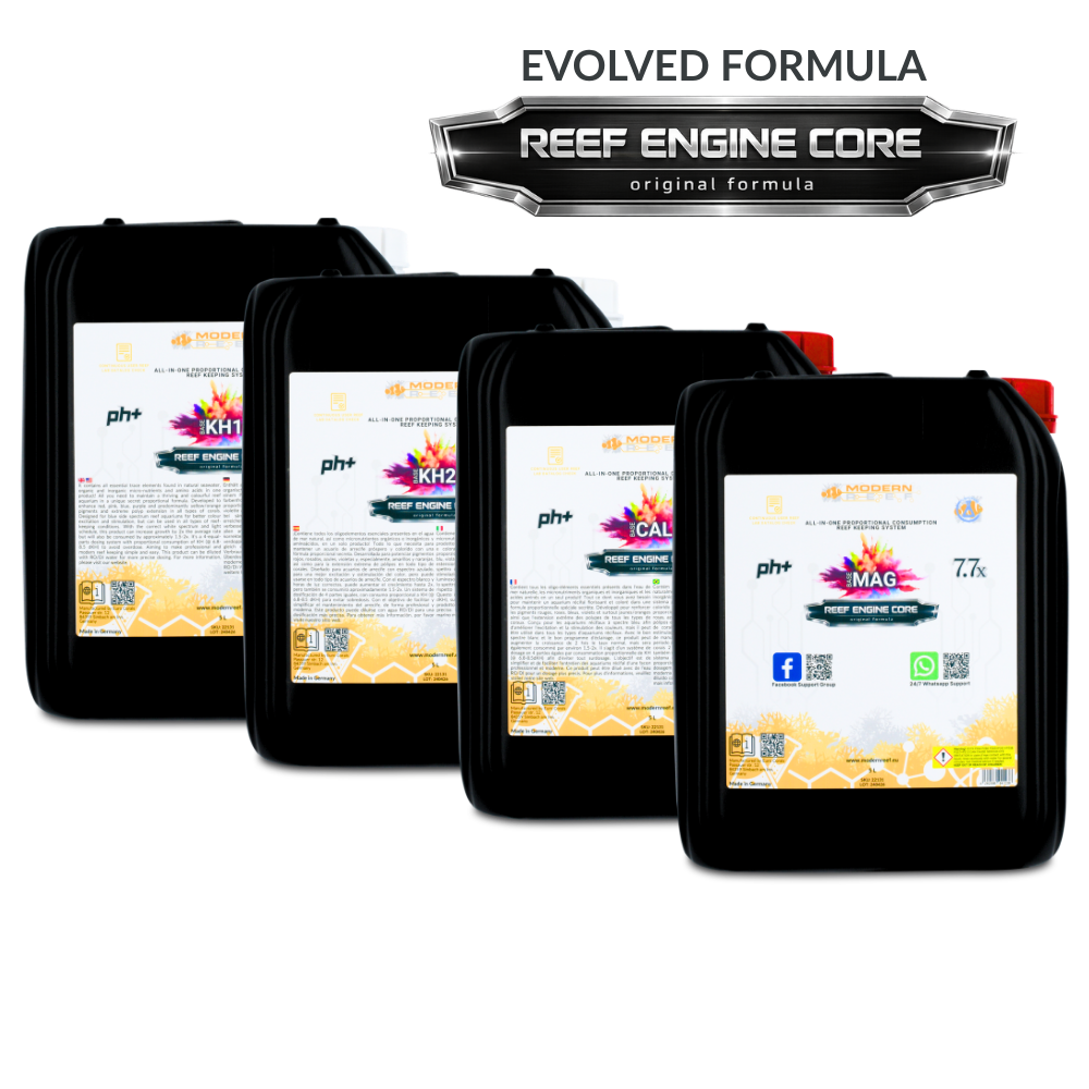 Modern Reef All-in-one Reef-Keeping System 7.7x High Concentrate (RKS 7.7x) 4x5L Set