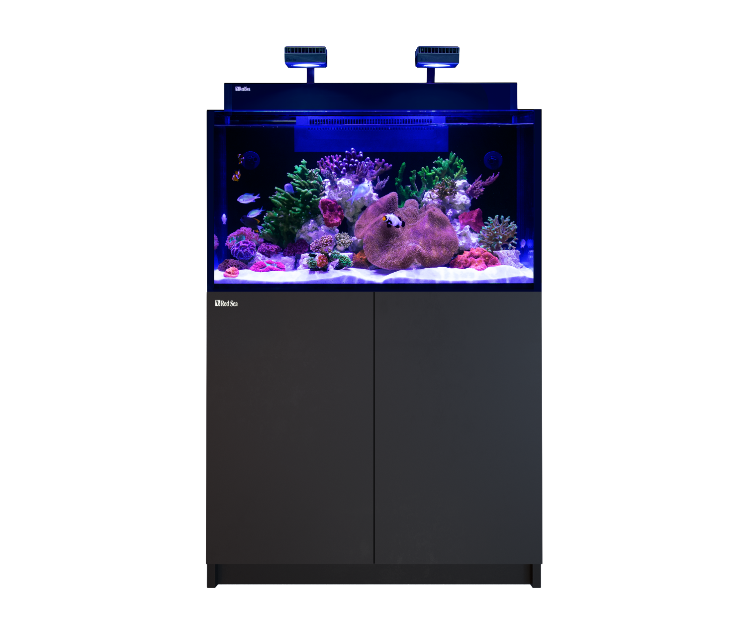 MAX® Nano G2 XXL