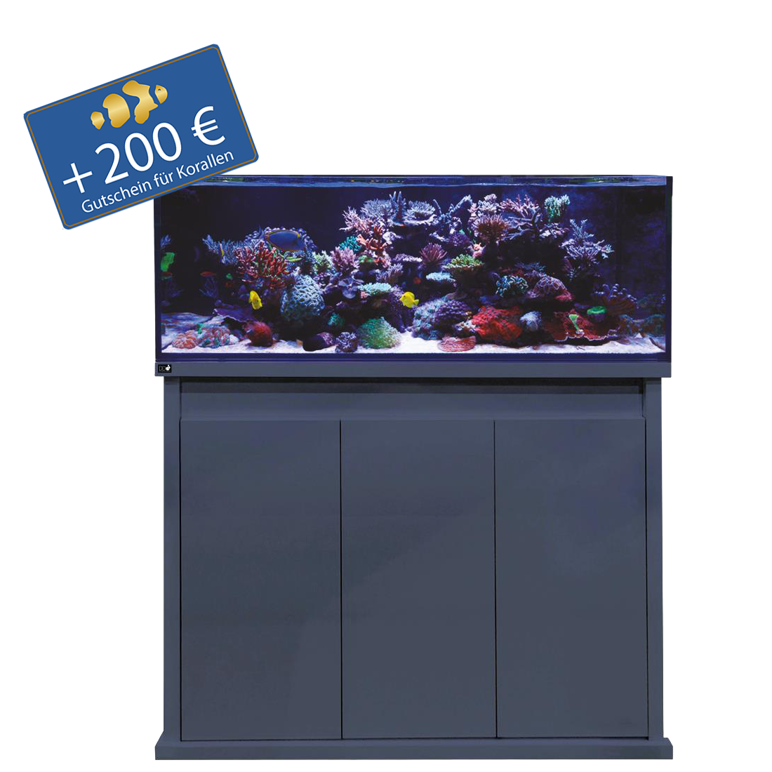 D-D Reef-Pro1200 - Holzunterschrank