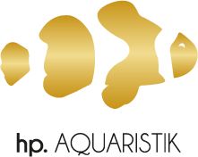 Zur Startseite gehen