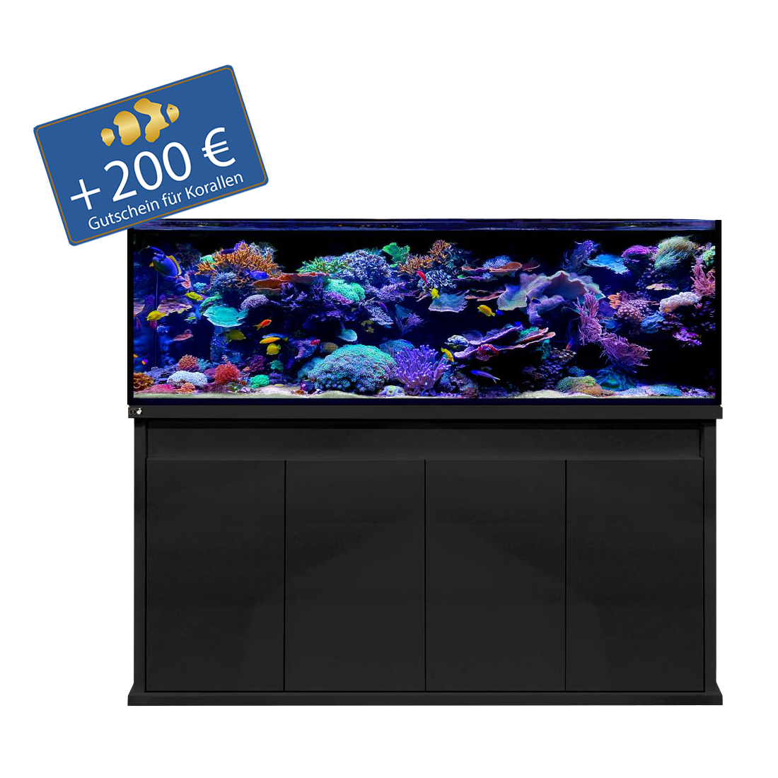 D-D Reef-Pro 1800 - Holzunterschrank