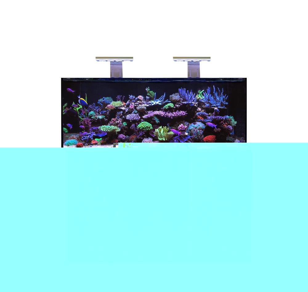 D-D Aqua-Pro Reef 1500- Metal Frame Carbon Oak