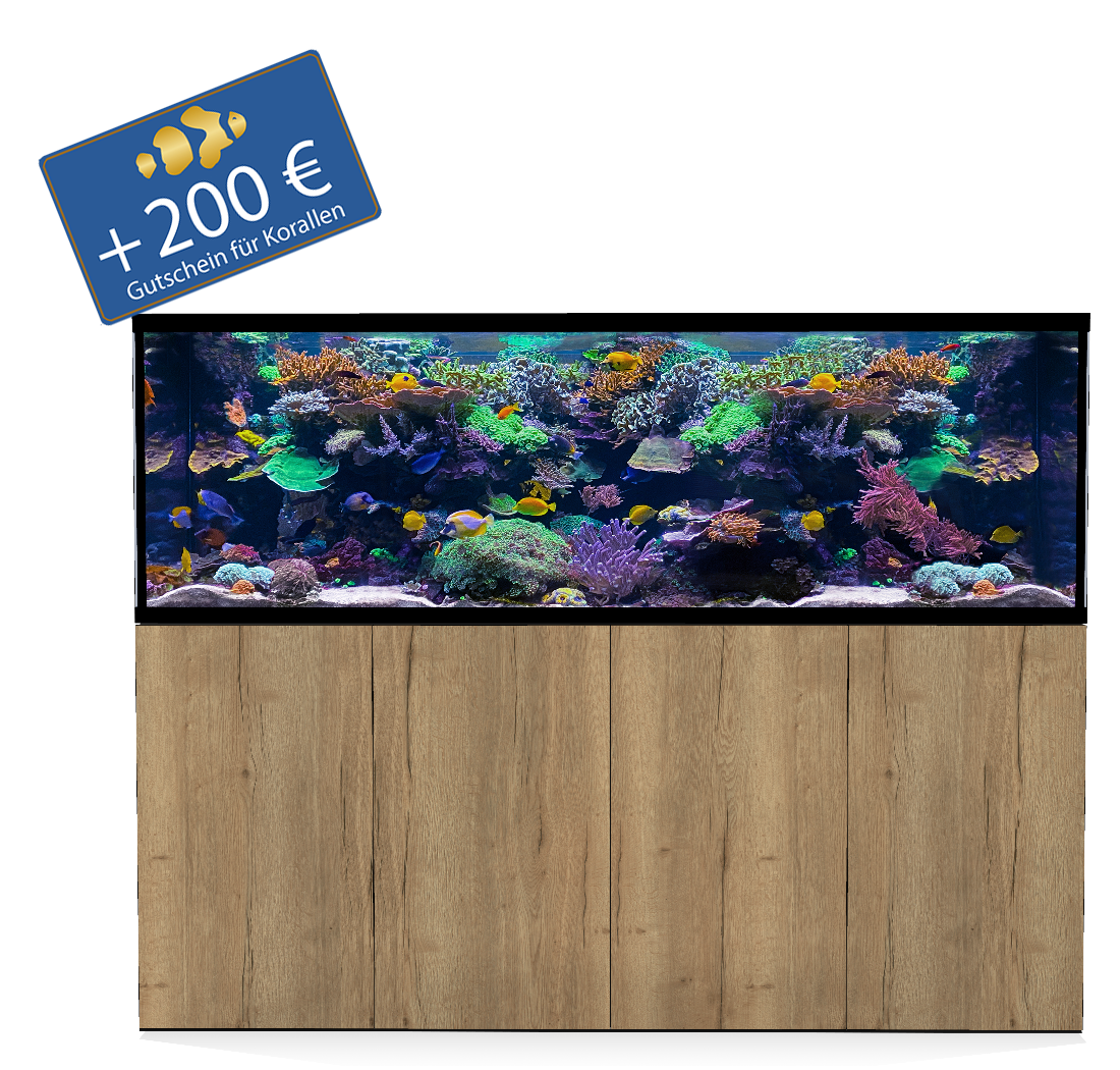 D-D Aqua-Pro Reef 2100 - Metall verstärkter Unterschrank