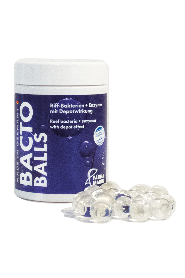 Bacto Balls - Bakterien Kugeln - 250 ml