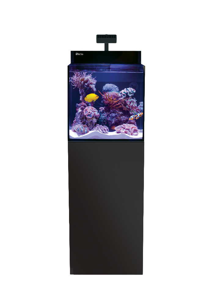 MAX® Nano Cube G2