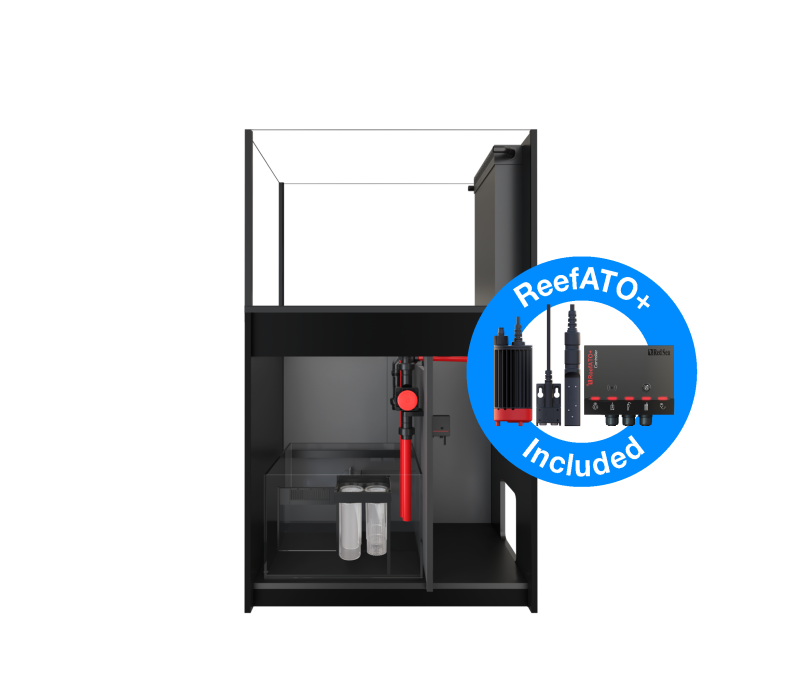 Reefer Peninsula 350 G3