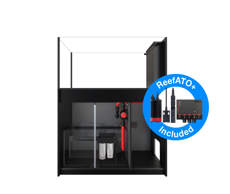 Reefer Peninsula 500 G3