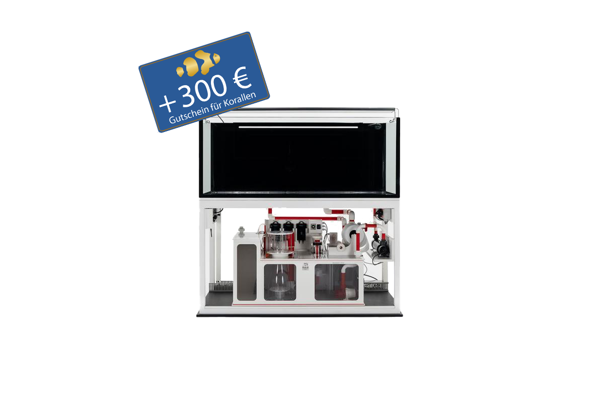 Aqua Perfekt Reeftank -  Royal Exklusiv - 540 Liter